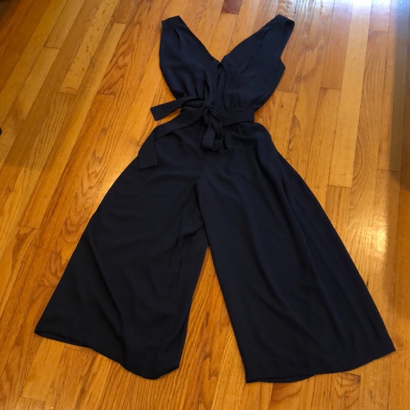 aritzia ronnie jumpsuit